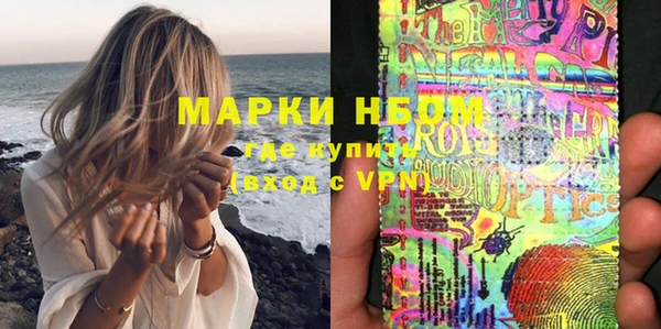 ПСИЛОЦИБИНОВЫЕ ГРИБЫ Арсеньев