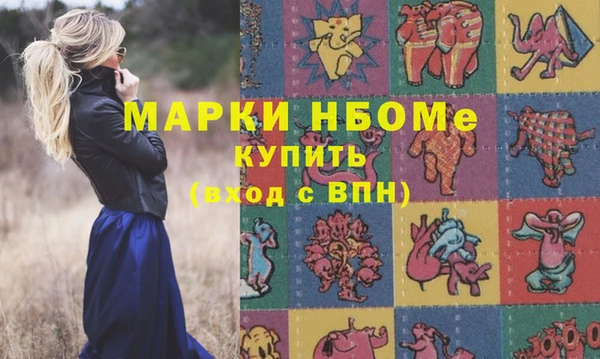 ПСИЛОЦИБИНОВЫЕ ГРИБЫ Арсеньев