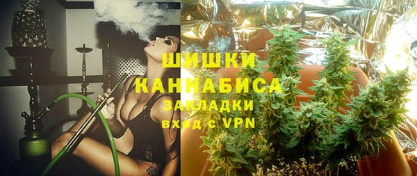 ПСИЛОЦИБИНОВЫЕ ГРИБЫ Арсеньев