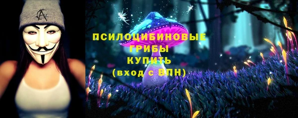 мдпв Армянск